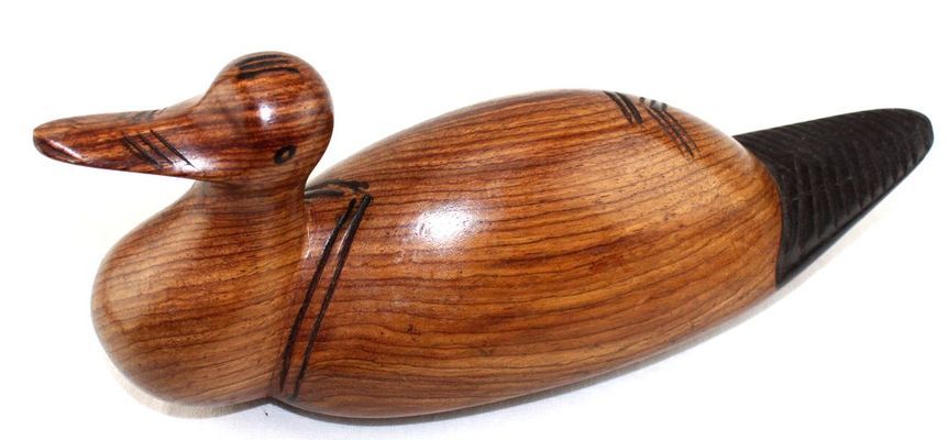 Canard_0244