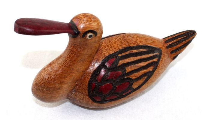 Canard_0249