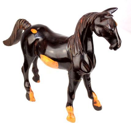 Cheval-ebene_9890