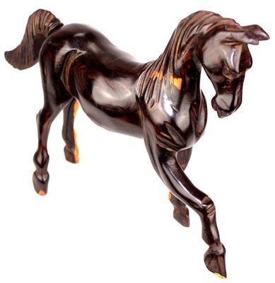 Cheval-ebene_9893
