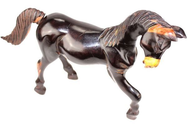 Cheval-ebene_9898