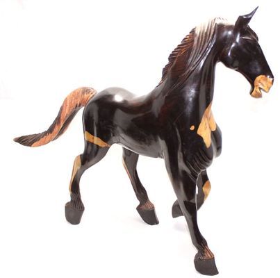 Cheval_8857