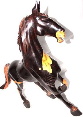 Cheval_8878