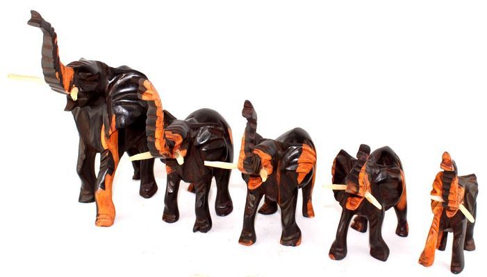 Elephant-ebene-serie_0073
