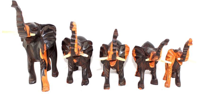 Elephant-ebene-serie_0083