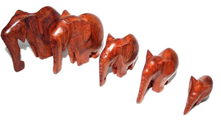 Elephant-serie_0579