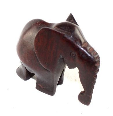 Elephant_0564