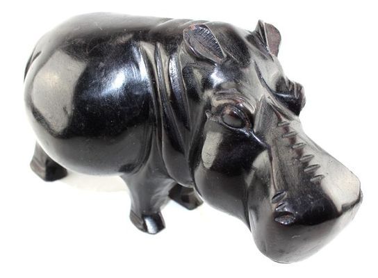 Hippopotame_0317