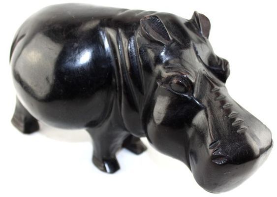 Hippopotame_0322