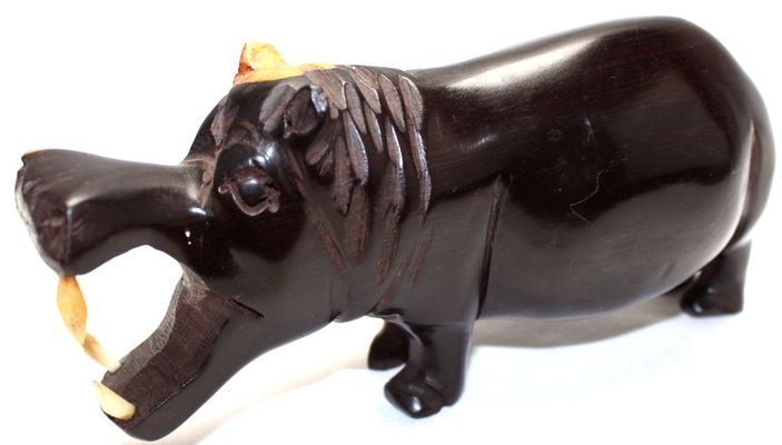 Hippopotame_9343