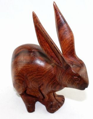 Lapin_8702