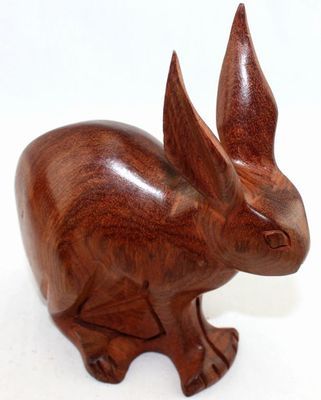 Lapin_8704
