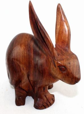 Lapin_8706