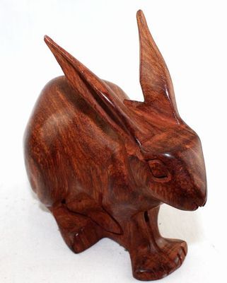 Lapin_8710