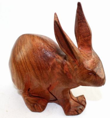 Lapin_8712