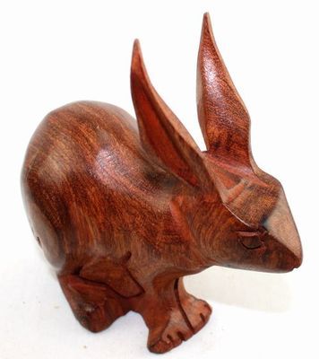 Lapin_8714