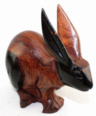 Lapin_8716