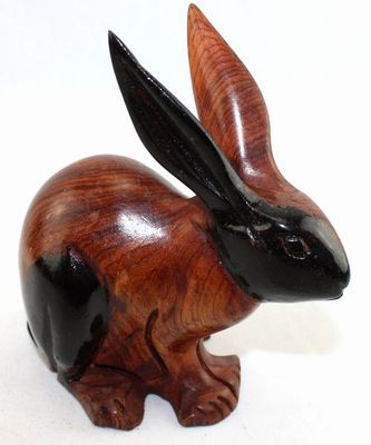 Lapin_8718