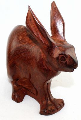 Lapin_8722