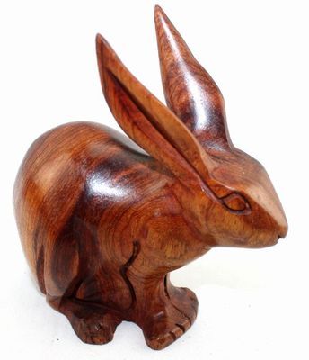 Lapin_8724