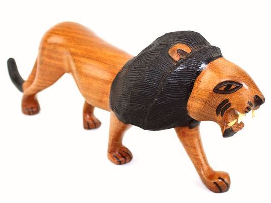 Lion_9026