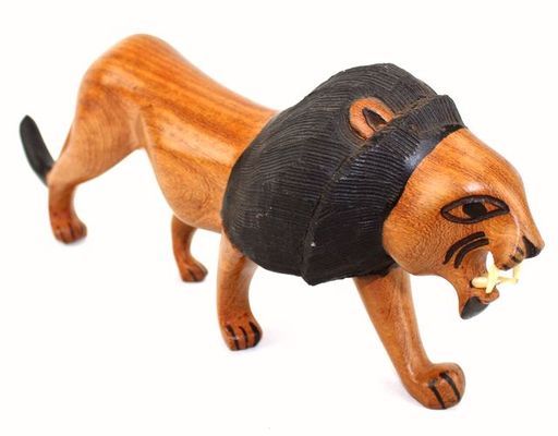 Lion_9028