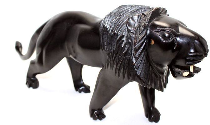 Lion_9323