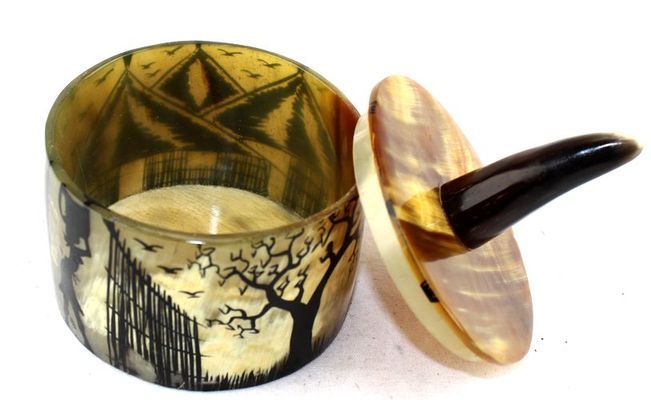 Pot-corne_0818