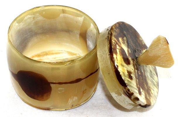 Pot-corne_0900