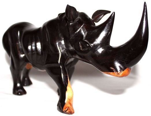 Rhinoceros_9149