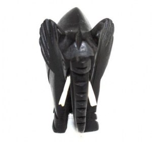 Elephant-petit_2299