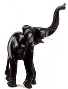 Elephant_1442