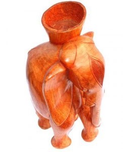 Elephant_2191