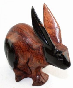 Lapin_8716