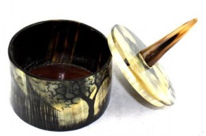 Pot-corne_0810
