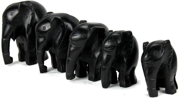 Elephant-serie_9755