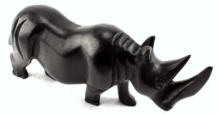 Rhinoceros_0258